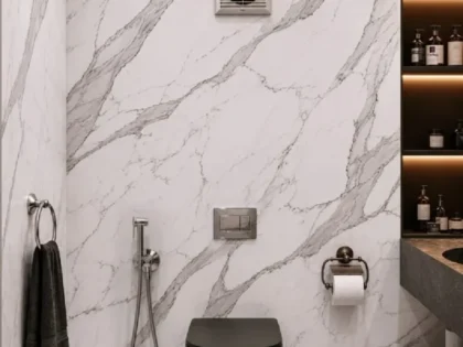 F. شفاط حمام مخفي Built-in
